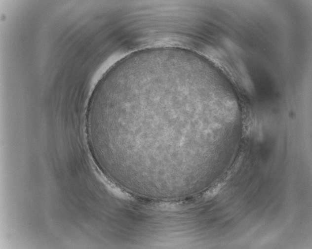 X0000070401086200606161339