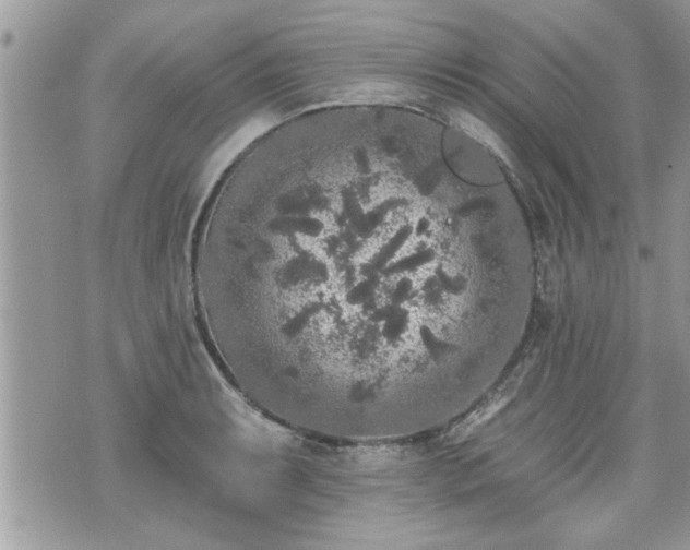 X0000070401087200606161339