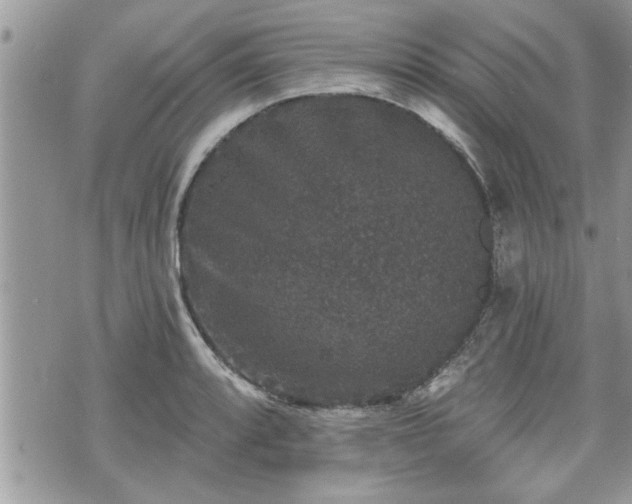 X0000070401088200606161339