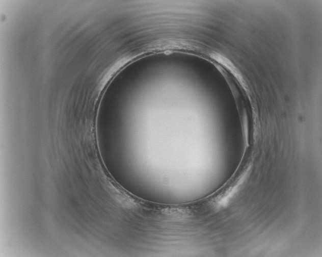 X0000070401089200606161339