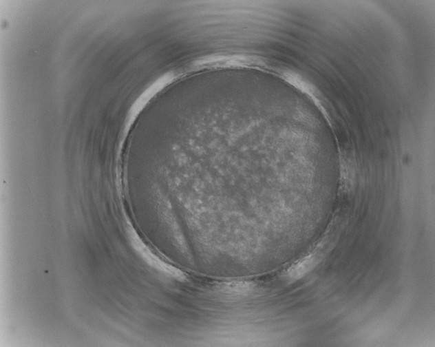 X0000070401090200606161339