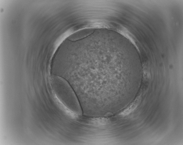 X0000070401091200606161339