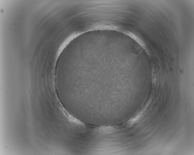 X0000070401094200606161339