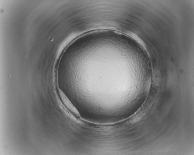 X0000070401096200606161339