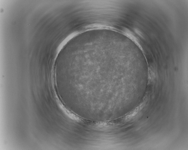 X0000070401098200606161339