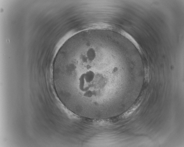 X0000070401099200606161339