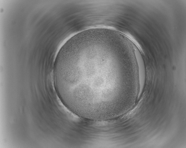 X0000070401100200606161339