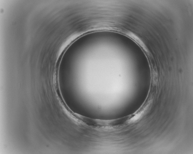 X0000070401101200606161339