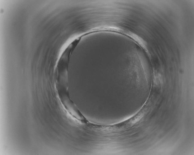 X0000070401102200606161339