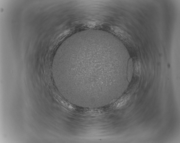 X0000070401105200606161338