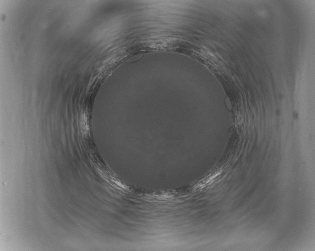 X0000070401106200606161338