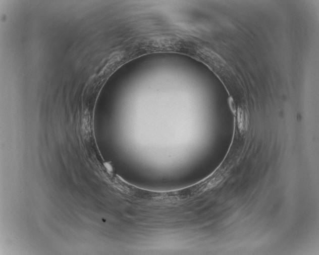 X0000070401107200606161338