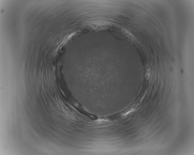 X0000070401108200606161338