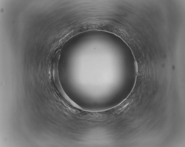 X0000070401109200606161338