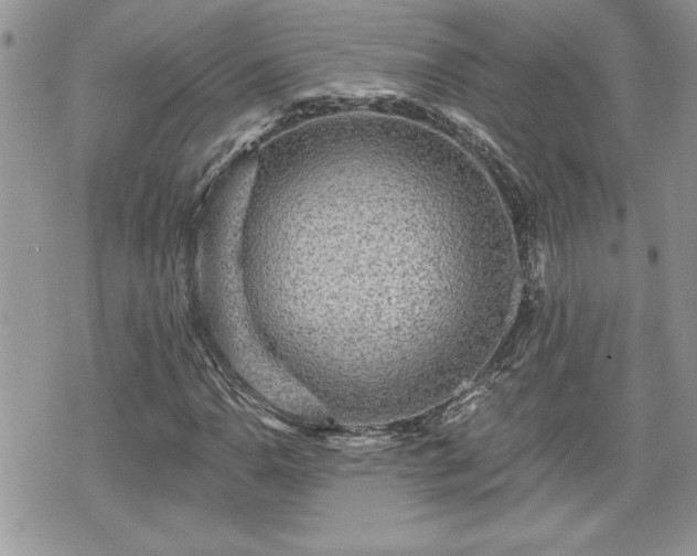 X0000070401110200606161338