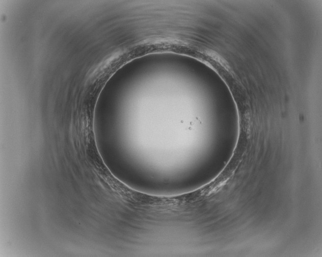 X0000070401111200606161338