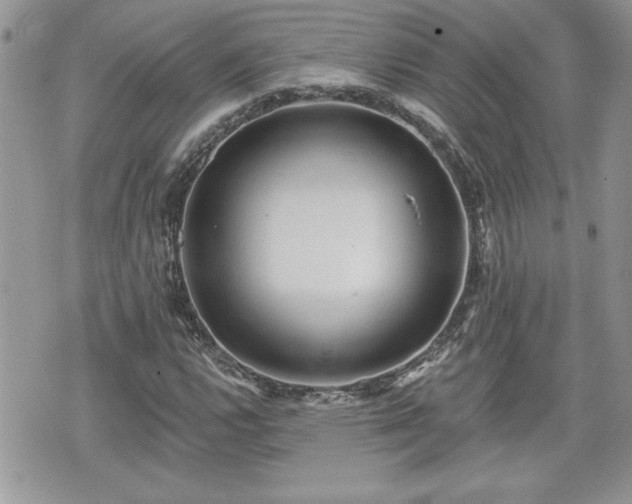 X0000070401112200606161338