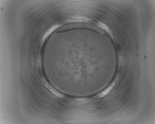 X0000070401114200606161338