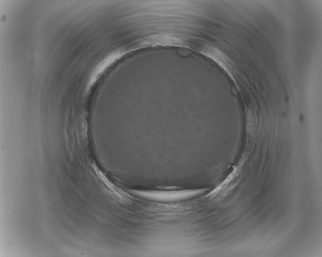 X0000070401115200606161338