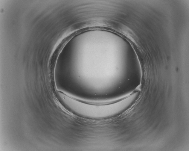 X0000070401116200606161338