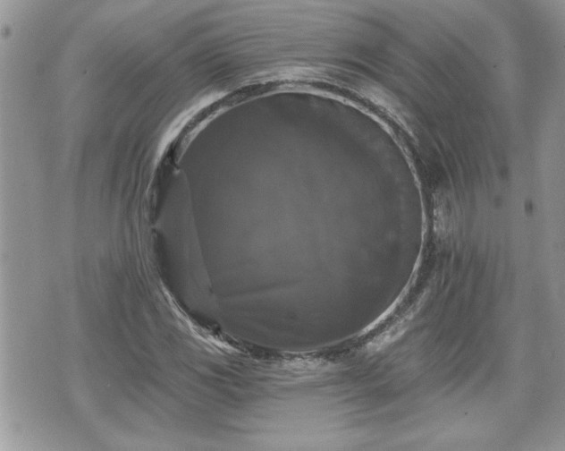 X0000070401117200606161338