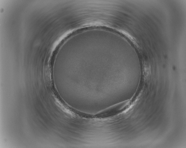 X0000070401118200606161338