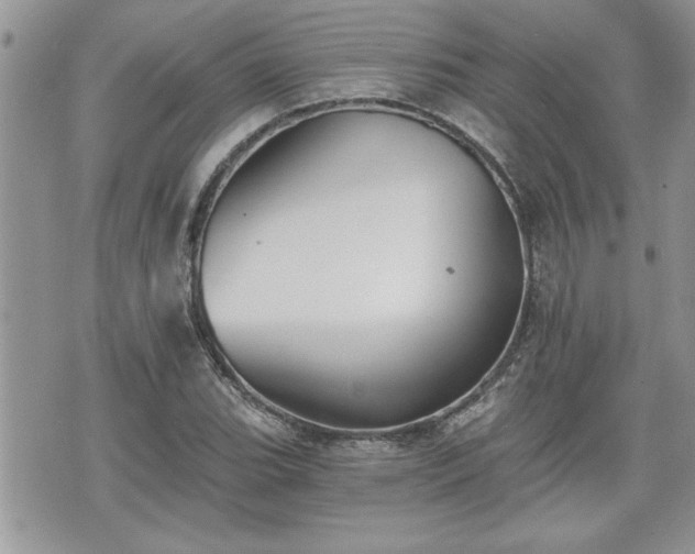 X0000070401119200606161338