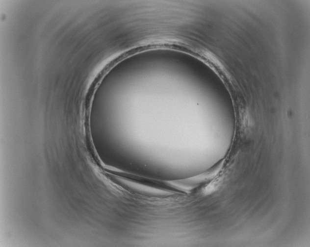 X0000070401124200606161338