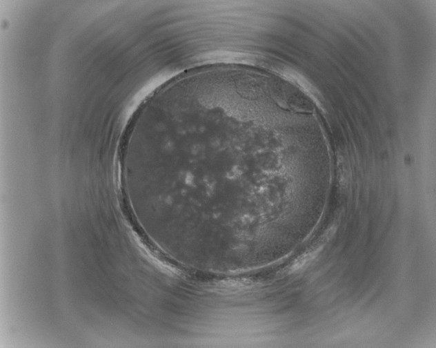 X0000070401125200606161338