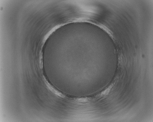 X0000070401126200606161338