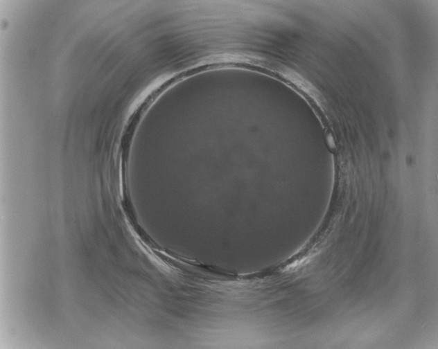 X0000070401127200606161338