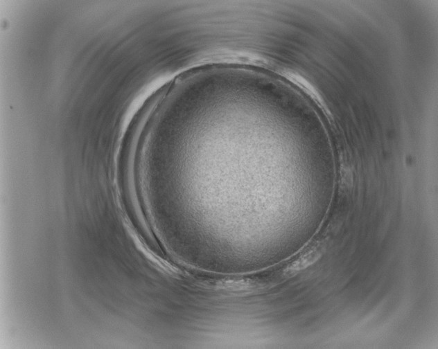 X0000070401128200606161338