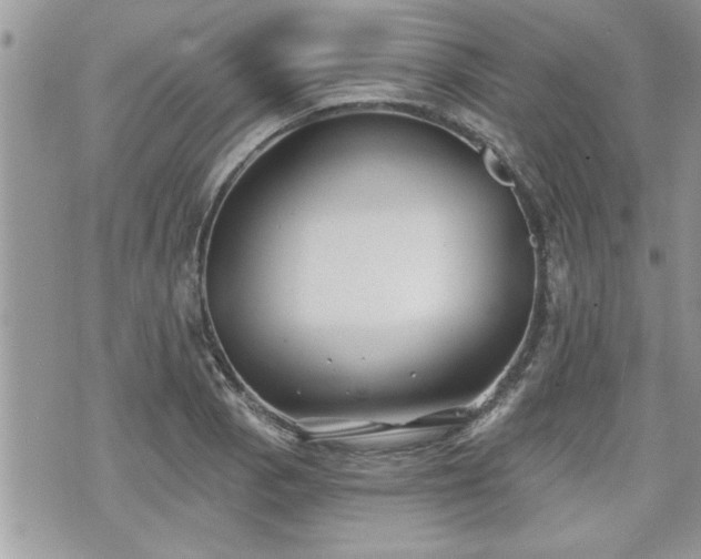 X0000070401129200606161338