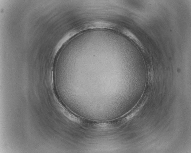 X0000070401130200606161338