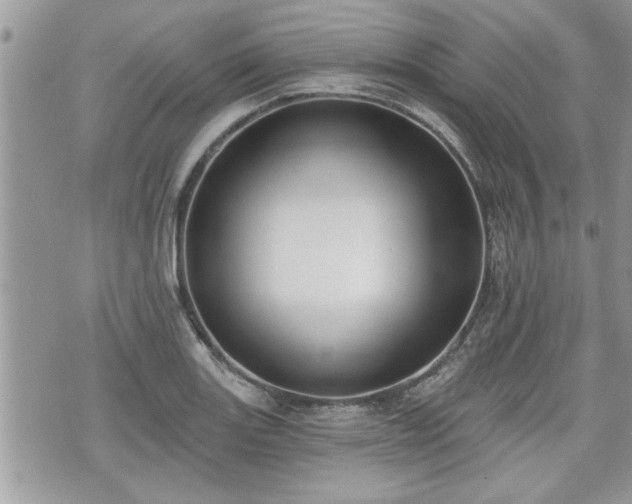 X0000070401131200606161338