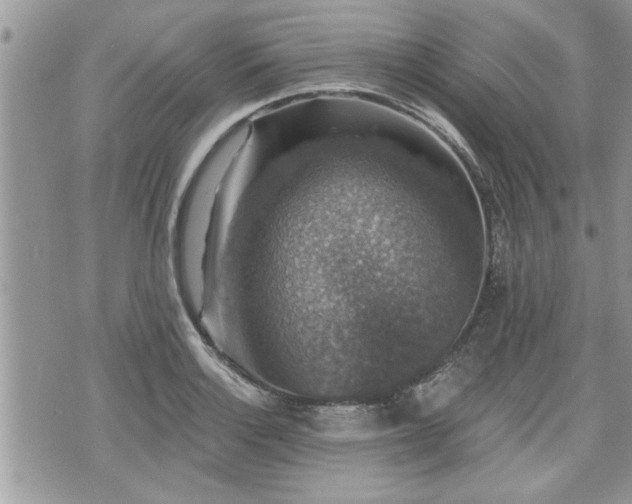 X0000070401132200606161339