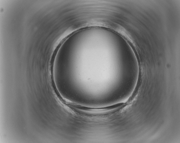 X0000070401133200606161339