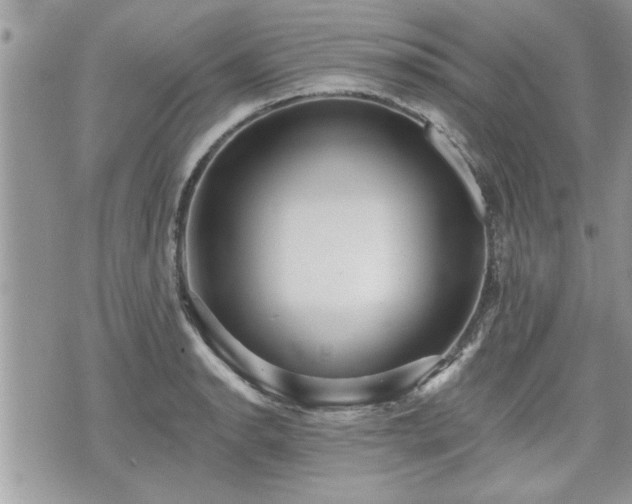 X0000070401134200606161339