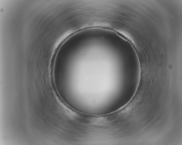 X0000070401135200606161339