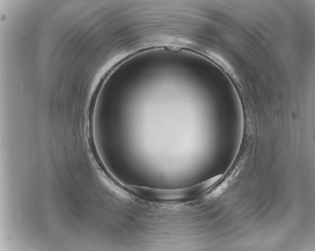 X0000070401136200606161339