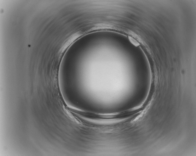 X0000070401137200606161339