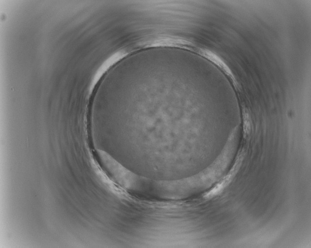 X0000070401138200606161339