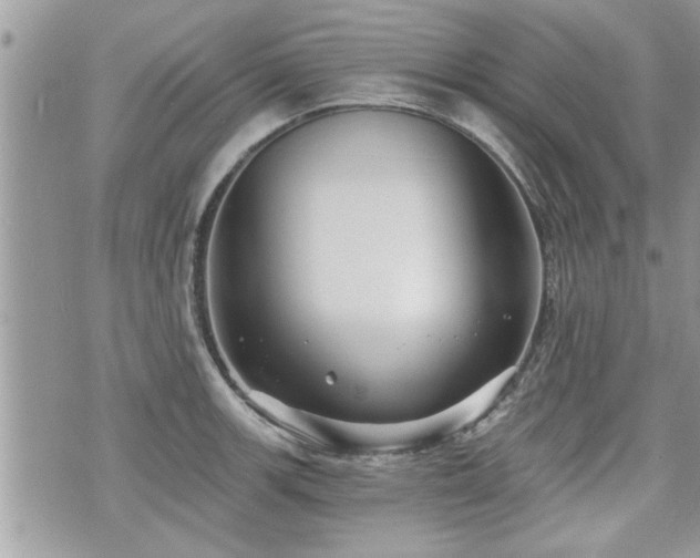 X0000070401139200606161339