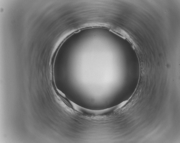 X0000070401140200606161339