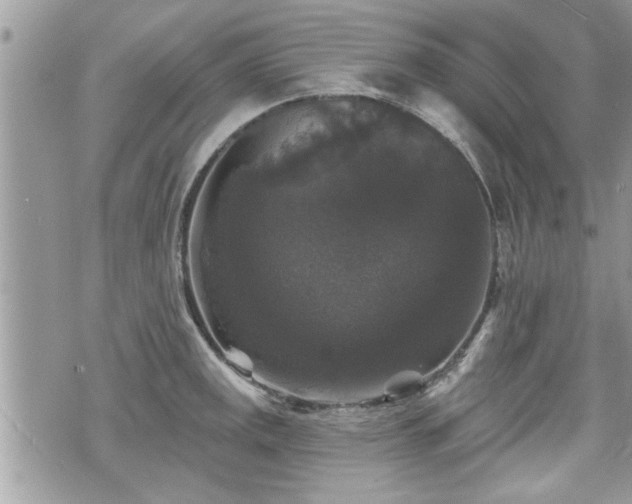 X0000070401141200606161339