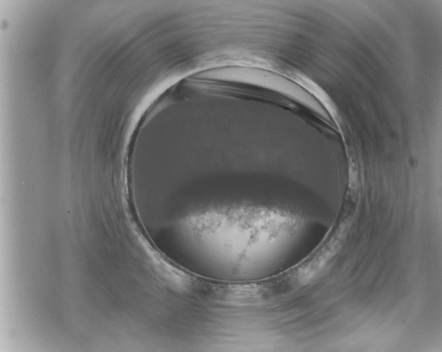 X0000070401144200606161339