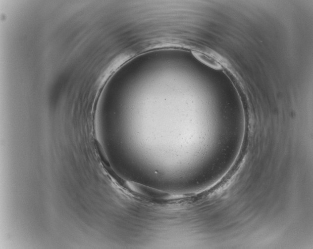 X0000070401145200606161339