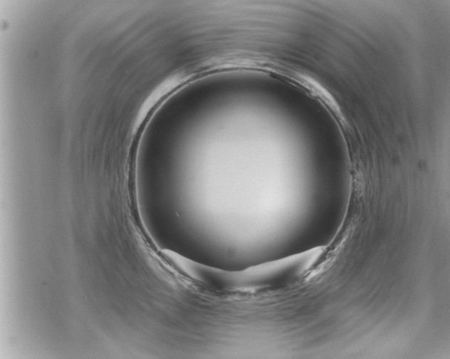 X0000070401146200606161339