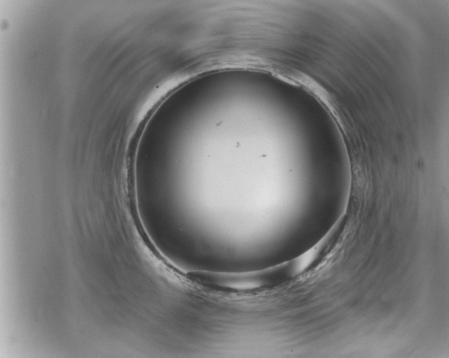 X0000070401147200606161339