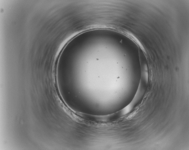 X0000070401148200606161339